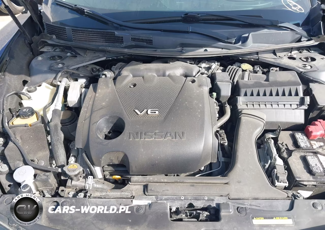 2017 Nissan Maxima 3.5 Platinum VIN:1N4AA6APXHC451873 - 10