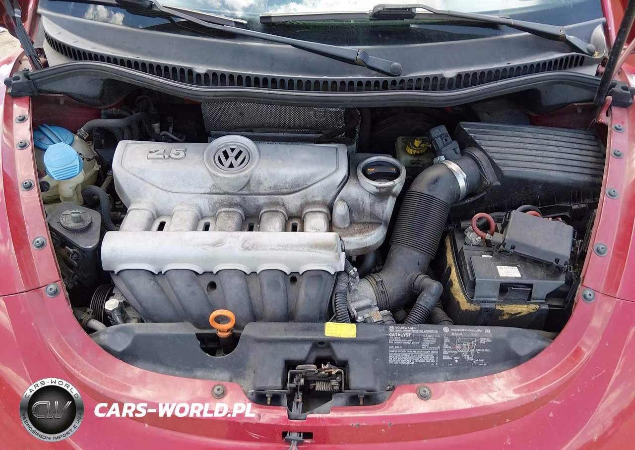 2007 Volkswagen New Beetle 2.5 VIN:3VWRW31C17M511432 - 10