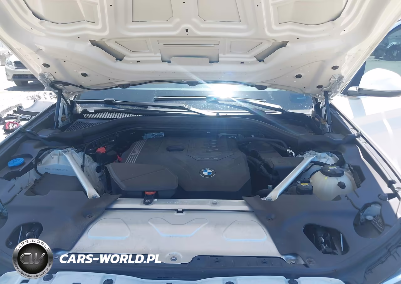 2022 BMW X3 Sdrive30I VIN:5UX43DP03N9K67205 - 10