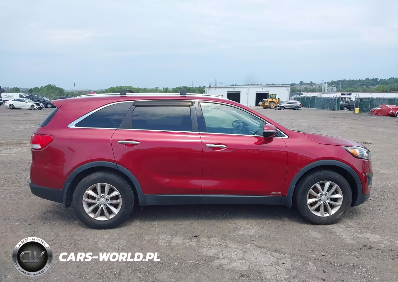 2016 Kia Sorento 2.4L Lx VIN:5XYPGDA34GG157867 - 13