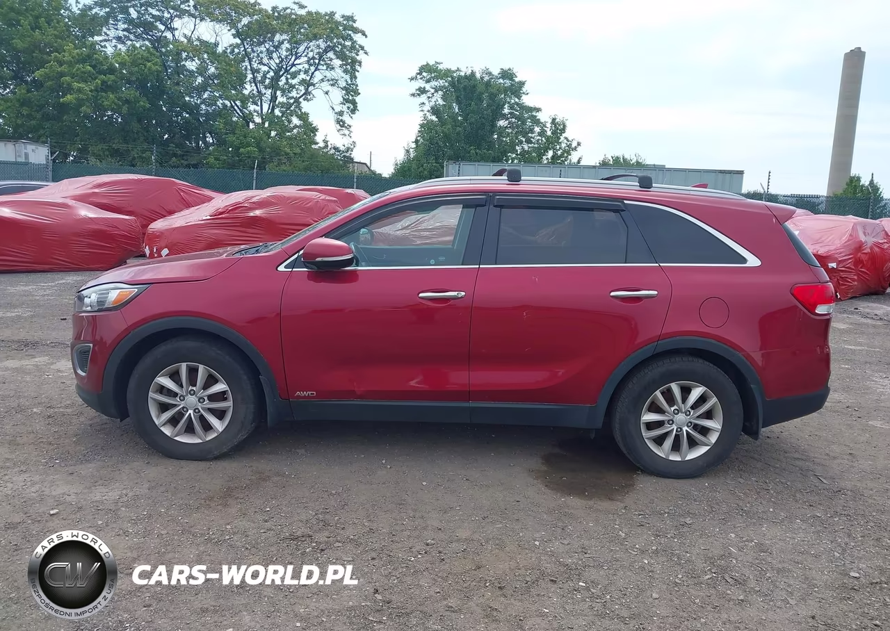 2016 Kia Sorento 2.4L Lx VIN:5XYPGDA34GG157867 - 14