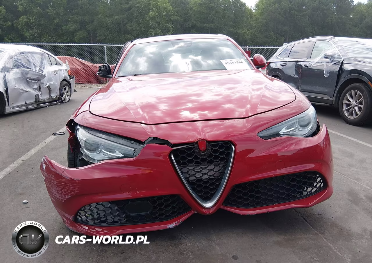 2018 Alfa Romeo Giulia Rwd VIN:ZARFAEBNXJ7565531 - 13