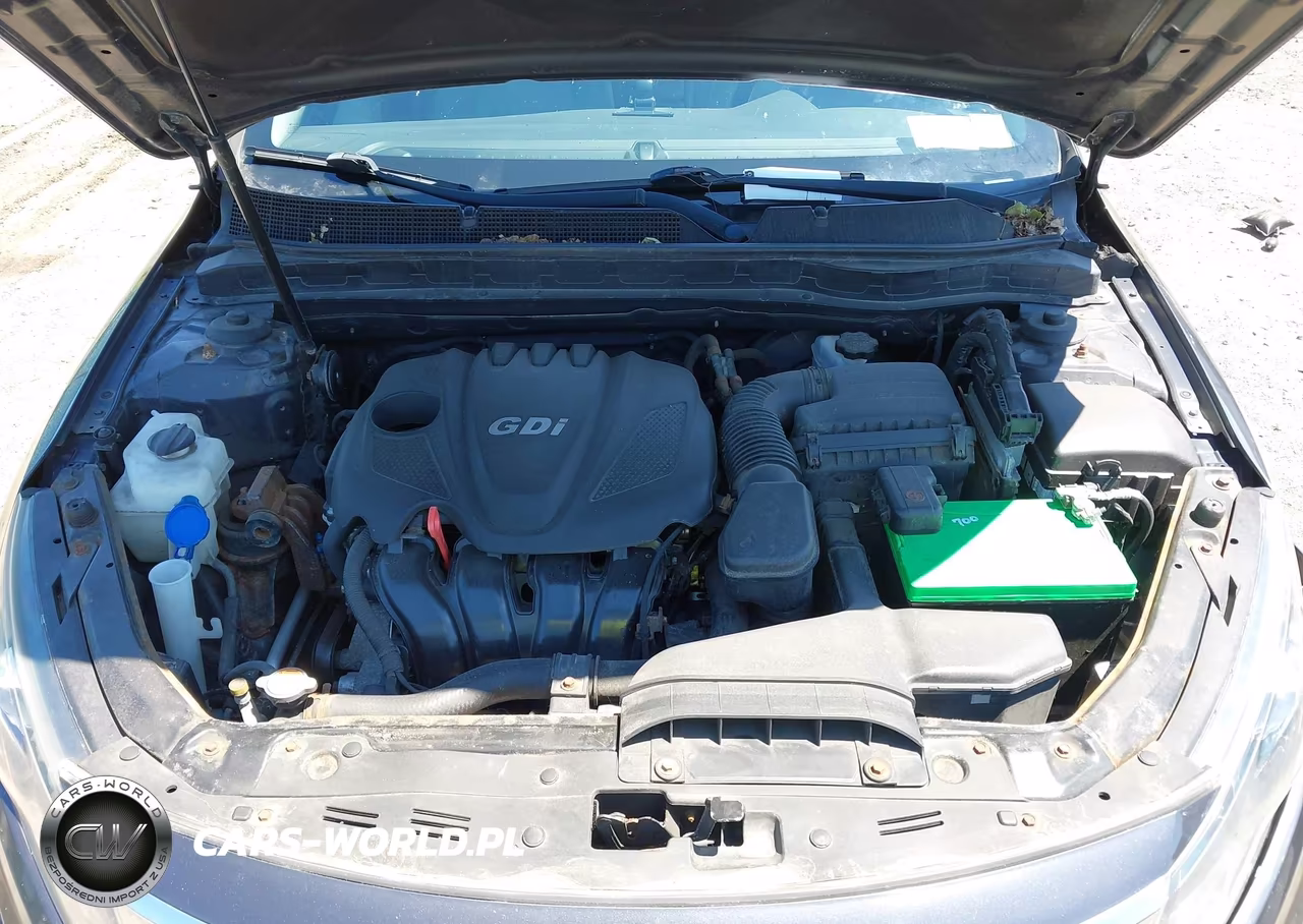 2011 Kia Optima Lx VIN:KNAGM4A74B5132901 - 10