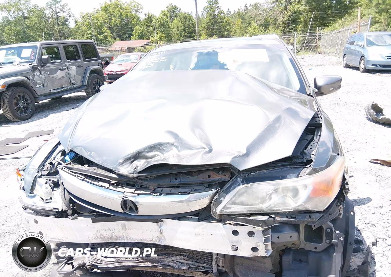 2014 Acura Ilx 2.0L VIN:19VDE1F34EE008278 - 13