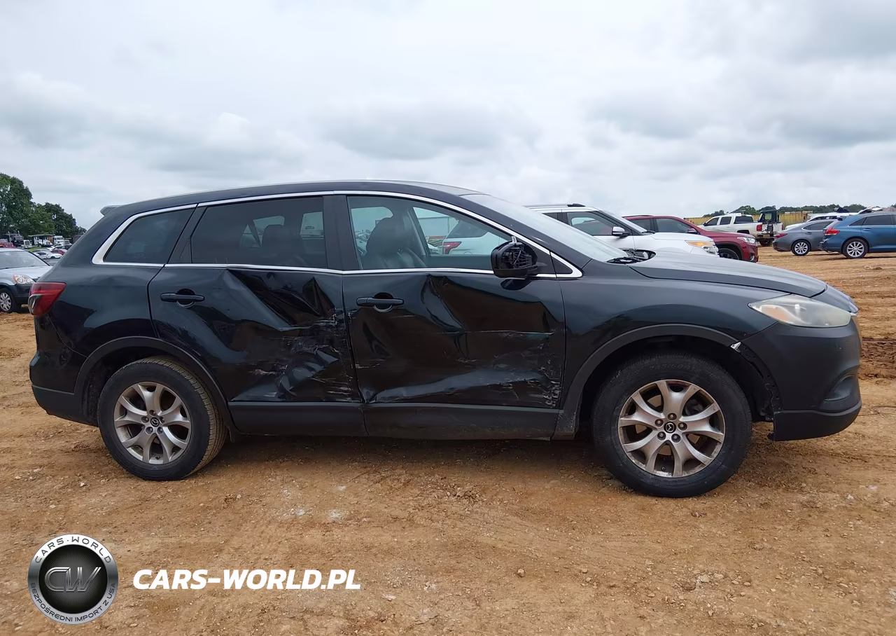 2014 Mazda Cx-9 Touring VIN:JM3TB2CA4E0433942 - 13