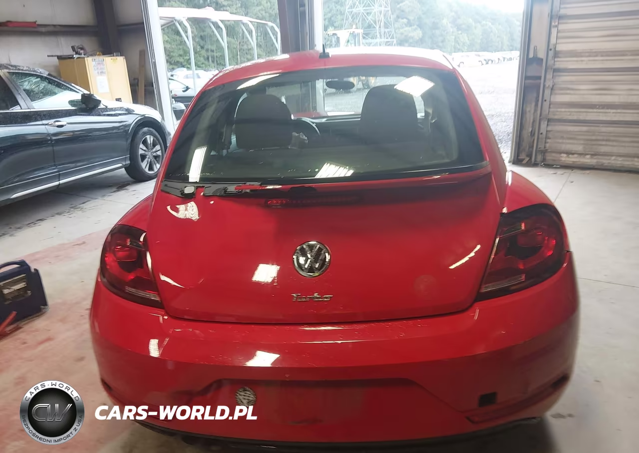 2019 Volkswagen Beetle 2.0T Final Edition Se-2.0T Final Edition Sel-2.0T S VIN:3VWFD7AT0KM716863 - 16