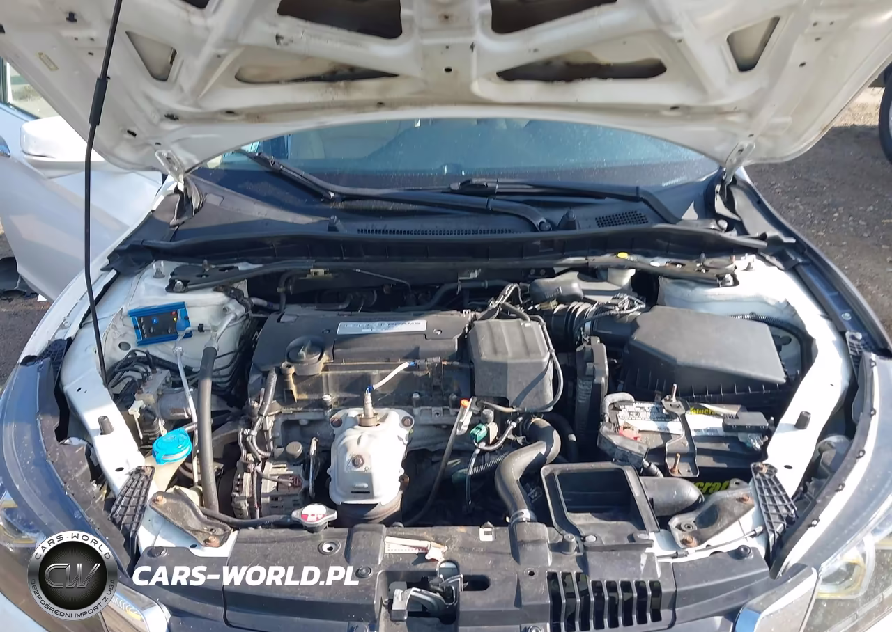 2014 Honda Accord Ex-L VIN:1HGCR2F81EA022281 - 10