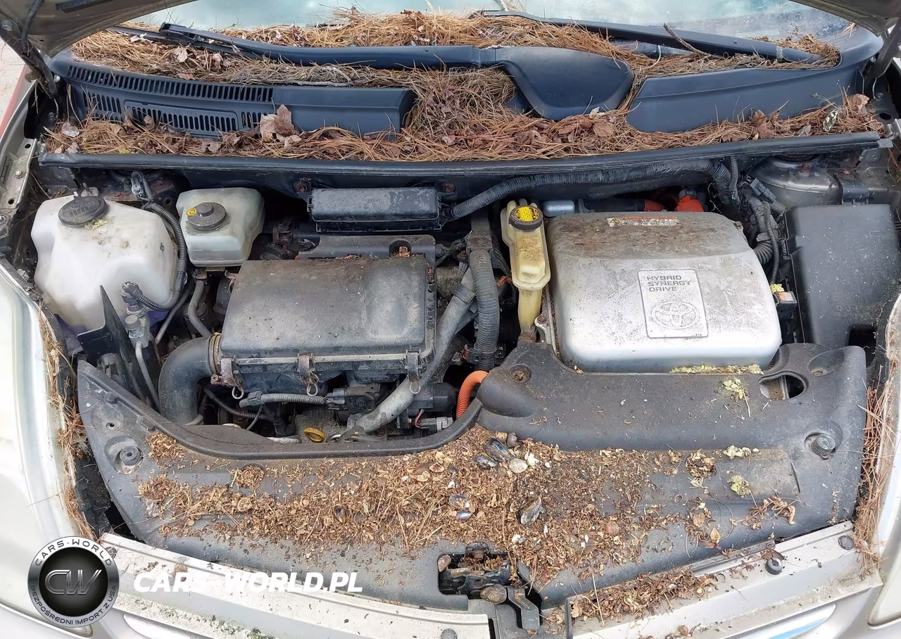 2007 Toyota Prius VIN:JTDKB20U577624198 - 10