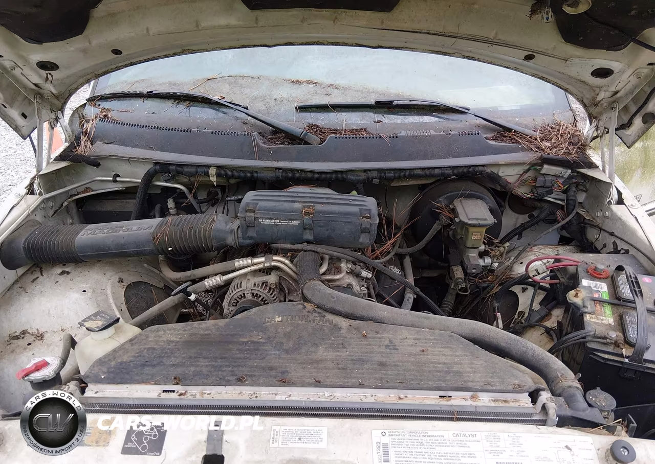 1996 Dodge Ram 1500 VIN:1B7HC13Y5TJ186831 - 10