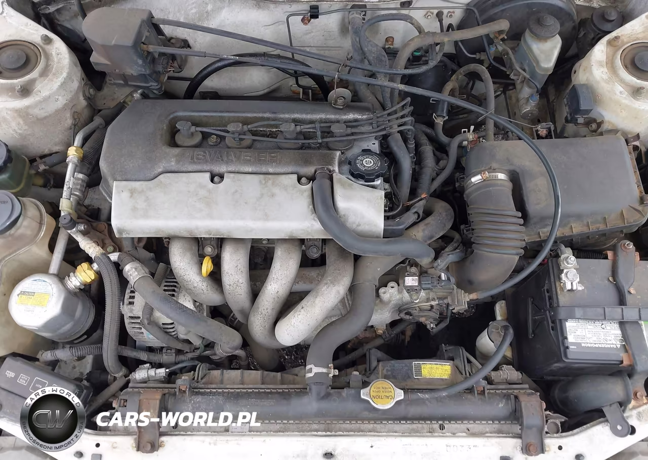 1998 Chevrolet Prizm VIN:1Y1SK548XWZ416394 - 10
