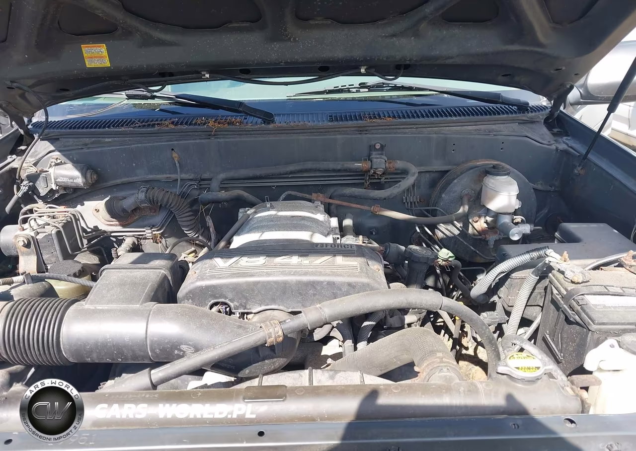 2003 Toyota Tundra Ltd V8 VIN:5TBBT48123S411351 - 10