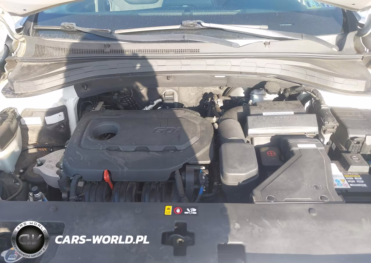 2019 Hyundai Santa Fe Sel Plus VIN:5NMS3CAD4KH018605 - 10