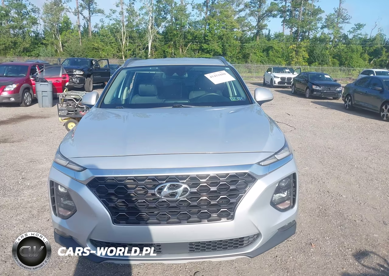 2019 Hyundai Santa Fe Sel Plus VIN:5NMS3CAD4KH018605 - 12