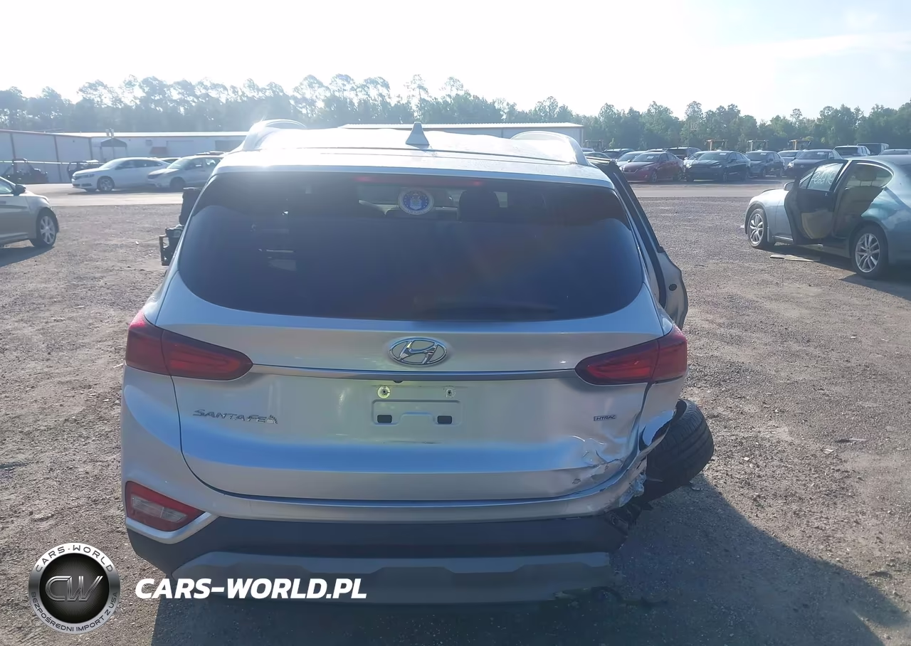 2019 Hyundai Santa Fe Sel Plus VIN:5NMS3CAD4KH018605 - 16