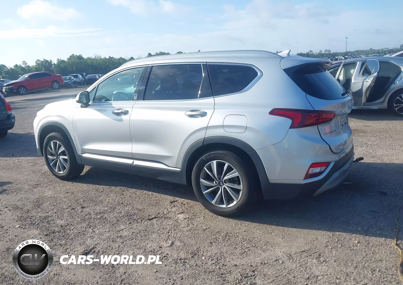2019 Hyundai Santa Fe Sel Plus VIN:5NMS3CAD4KH018605 - 3