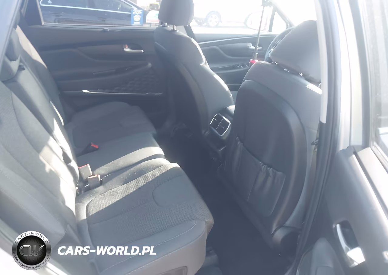 2019 Hyundai Santa Fe Sel Plus VIN:5NMS3CAD4KH018605 - 8