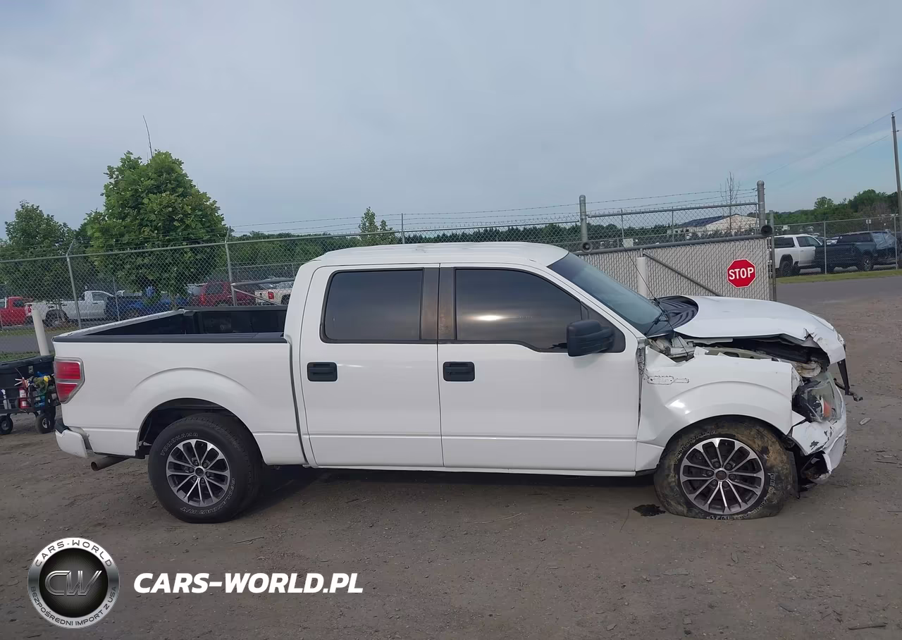 2013 Ford F-150 Fx4-King Ranch-Lariat-Platinum-Xl-Xlt VIN:1FTFW1EF3DKD84104 - 13