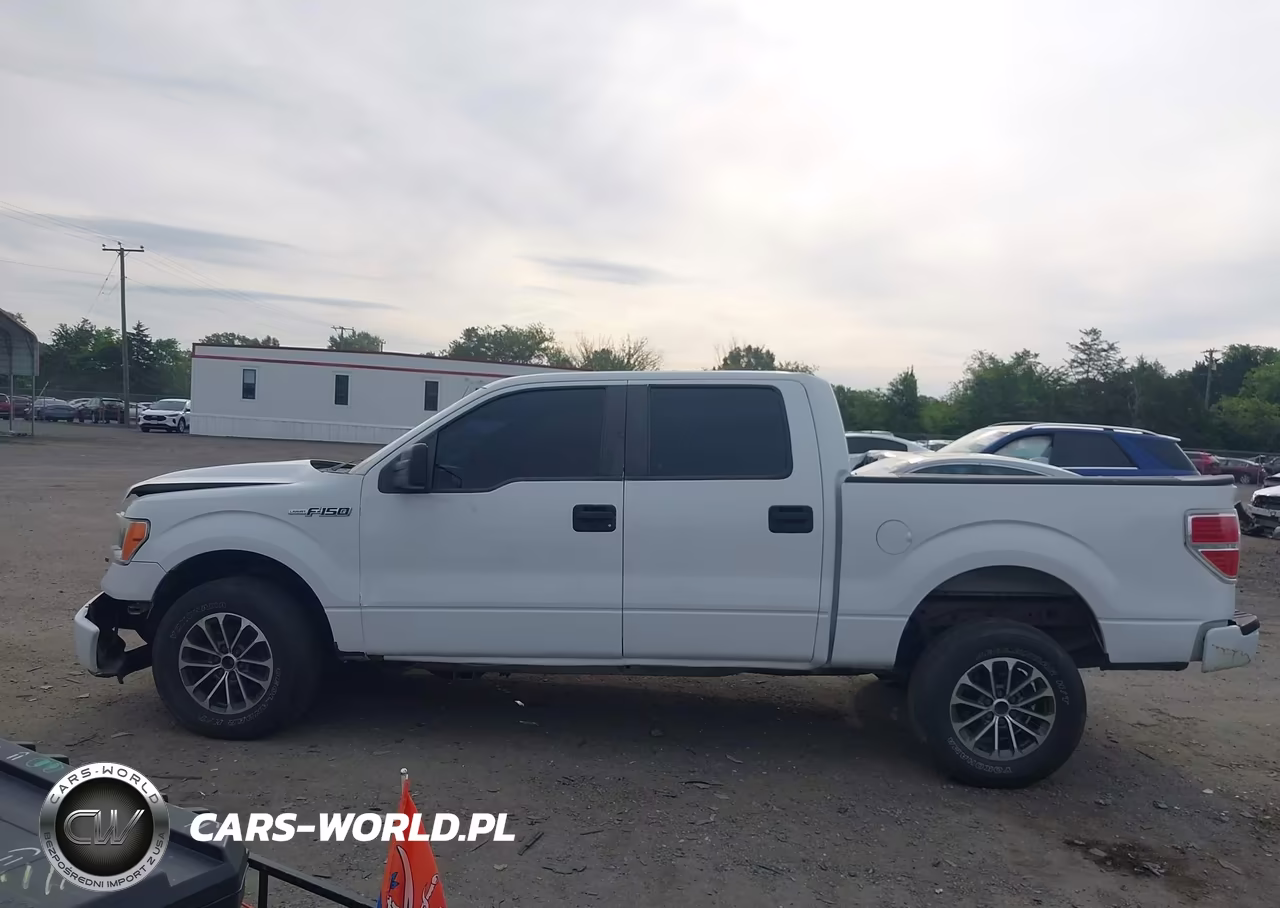 2013 Ford F-150 Fx4-King Ranch-Lariat-Platinum-Xl-Xlt VIN:1FTFW1EF3DKD84104 - 14