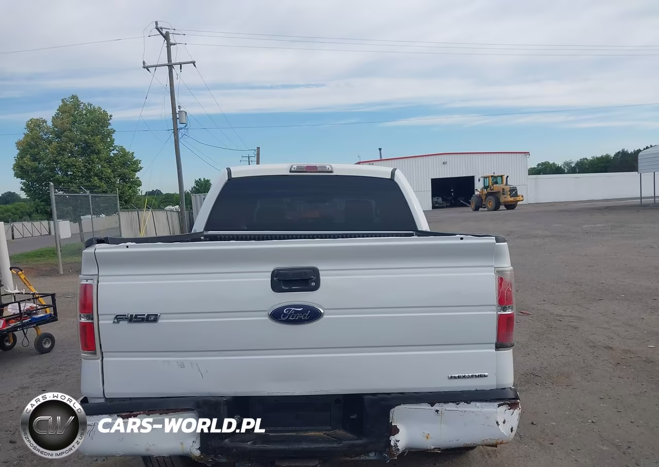 2013 Ford F-150 Fx4-King Ranch-Lariat-Platinum-Xl-Xlt VIN:1FTFW1EF3DKD84104 - 16
