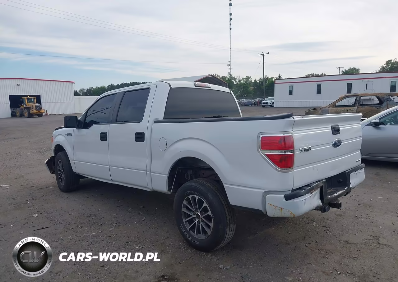 2013 Ford F-150 Fx4-King Ranch-Lariat-Platinum-Xl-Xlt VIN:1FTFW1EF3DKD84104 - 3