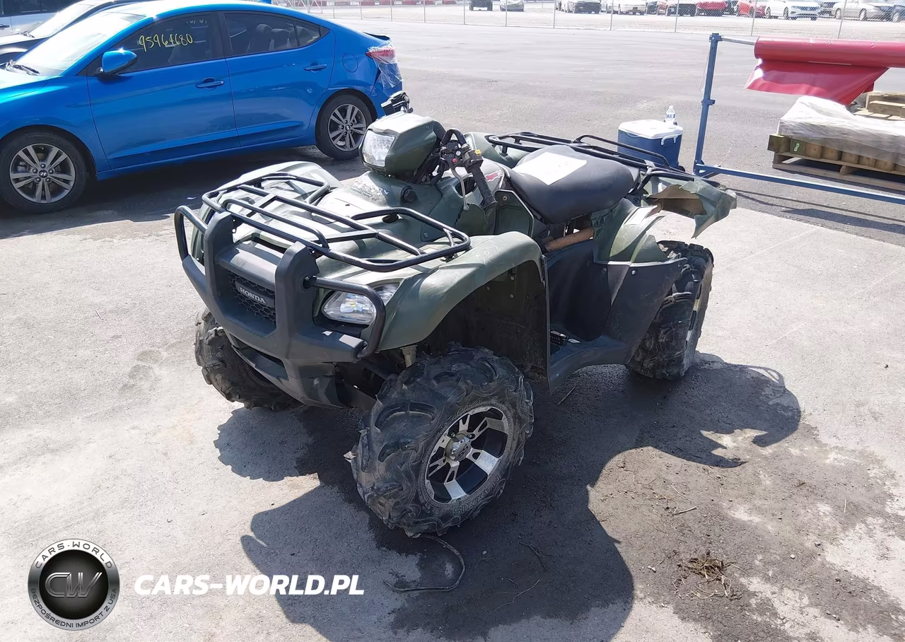 2013 Honda Trx500 Fpm VIN:1HFTE38F2D4102171 - 2