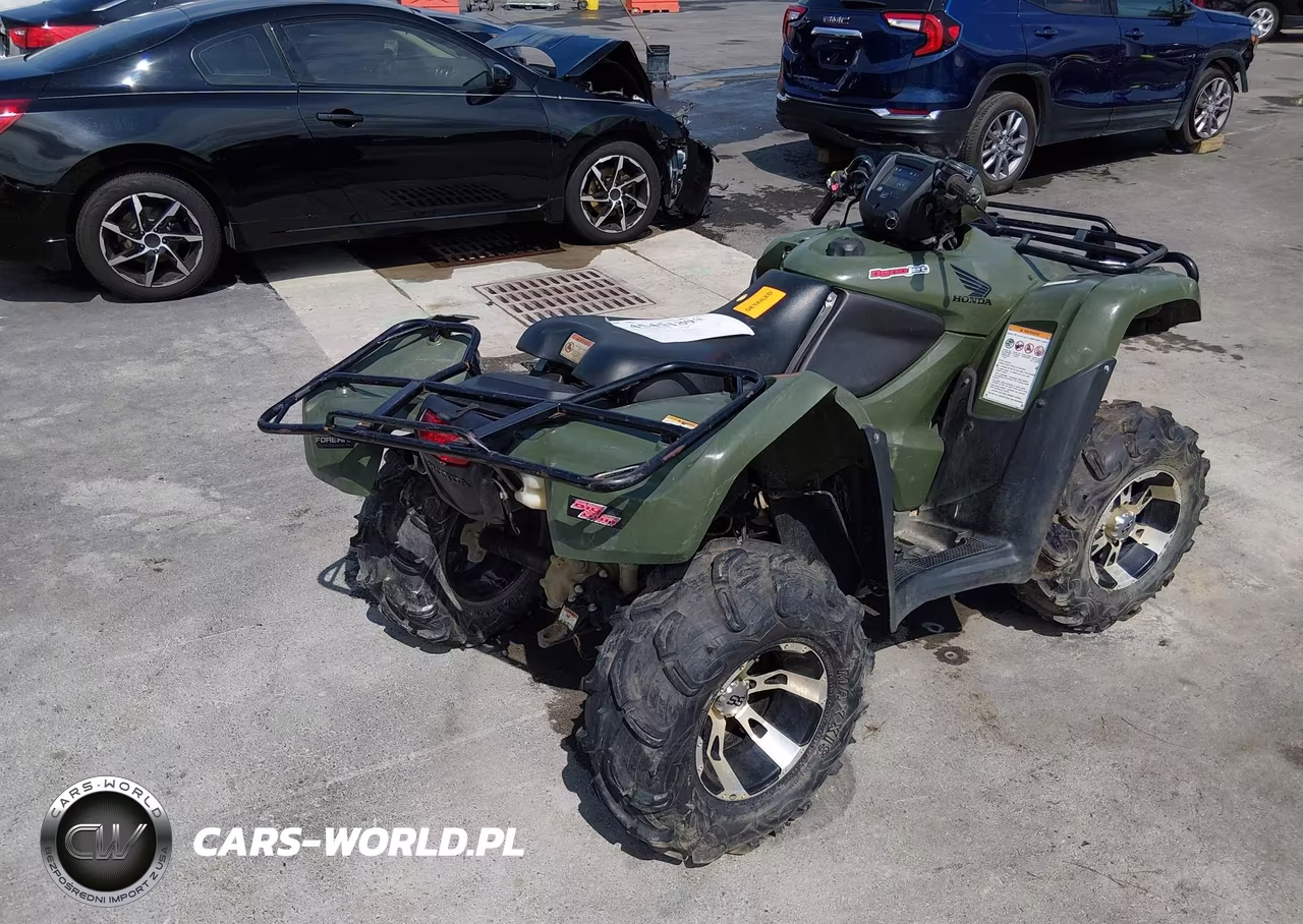 2013 Honda Trx500 Fpm VIN:1HFTE38F2D4102171 - 4