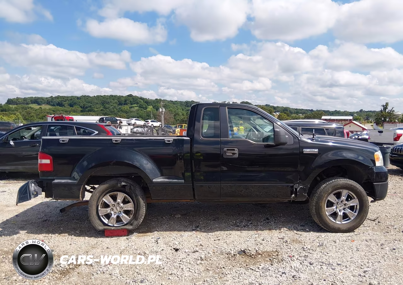 2006 Ford F-150 Stx-Xlt VIN:1FTRF02276KC64804 - 13