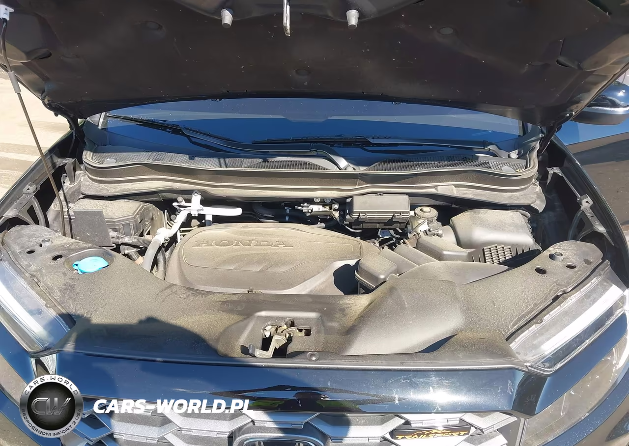 2023 Honda Passport Awd Trailsport VIN:5FNYF8H6XPB005436 - 10