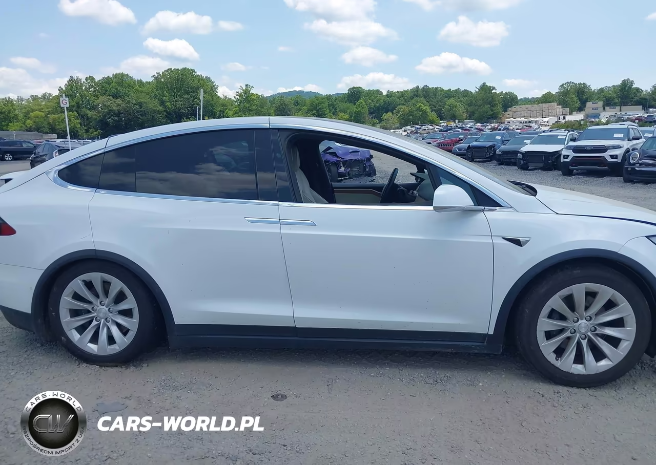 2020 Tesla Model X Long Range Dual Motor All-Wheel Drive-Long Range Plus Dual Motor All-Wheel Drive VIN:5YJXCAE28LF297238 - 13