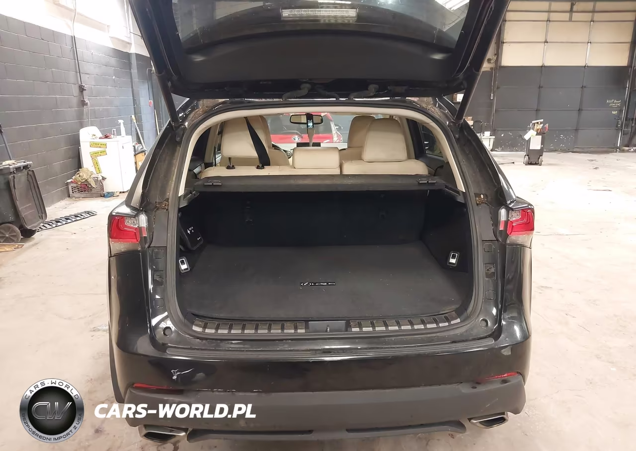 2015 Lexus Nx 200T VIN:JTJBARBZ5F2001497 - 19