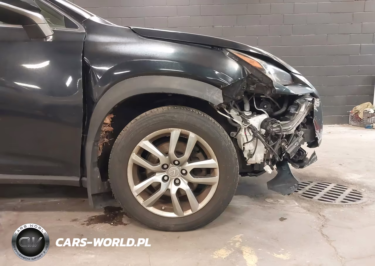 2015 Lexus Nx 200T VIN:JTJBARBZ5F2001497 - 20