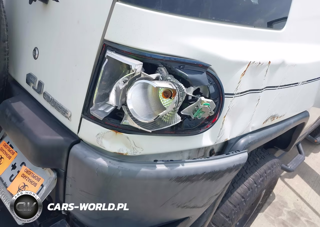 2012 Toyota Fj Cruiser VIN:JTEBU4BF6CK146123 - 19