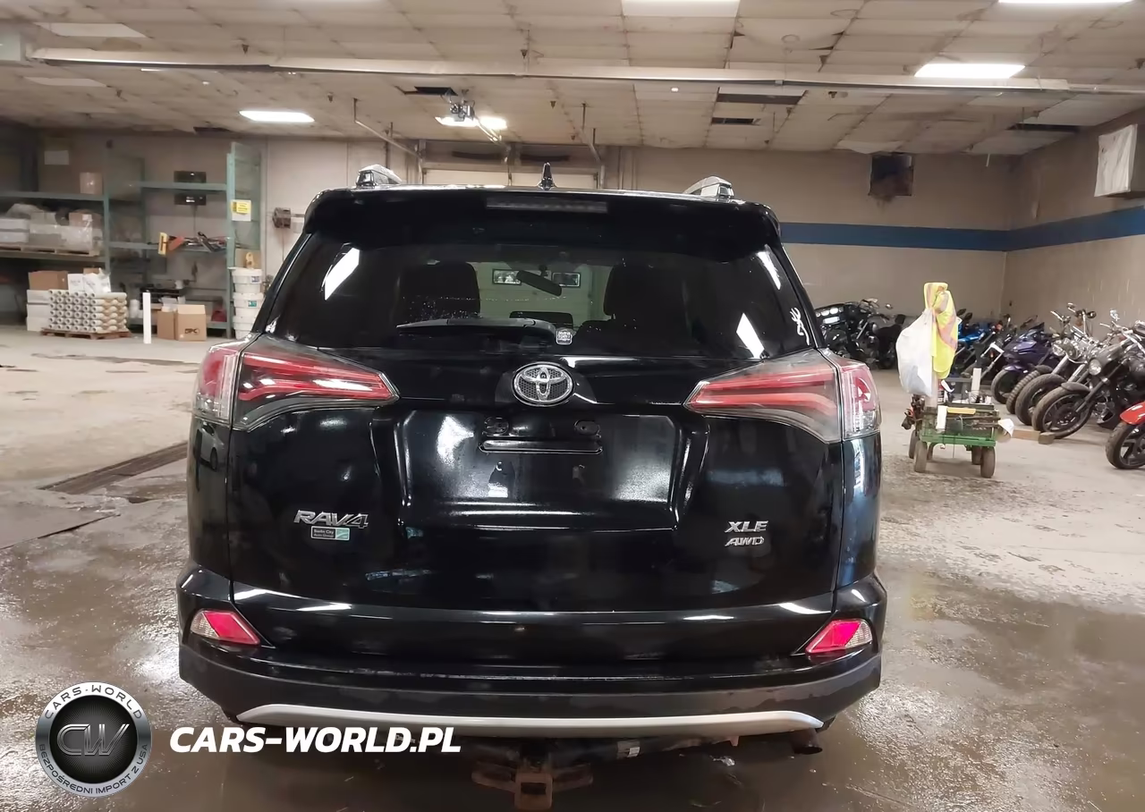 2016 Toyota Rav4 Xle VIN:2T3RFREV3GW508158 - 16