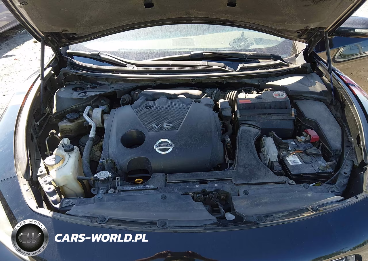 NISSAN MAXIMA S VIN:1N4AA51E59C833948 - 10