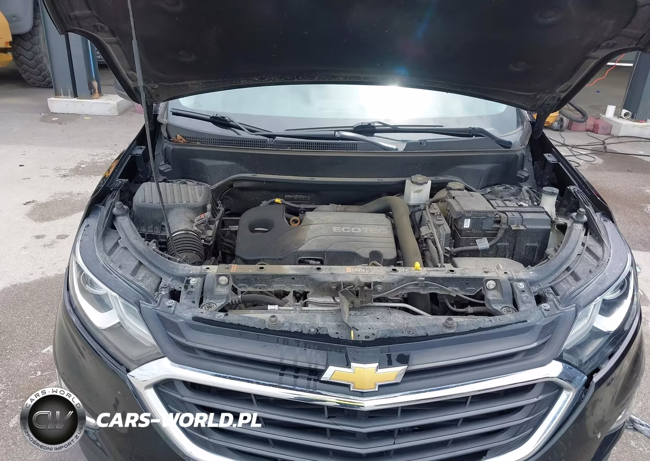 2019 Chevrolet Equinox Ls VIN:2GNAXHEV3K6260252 - 10