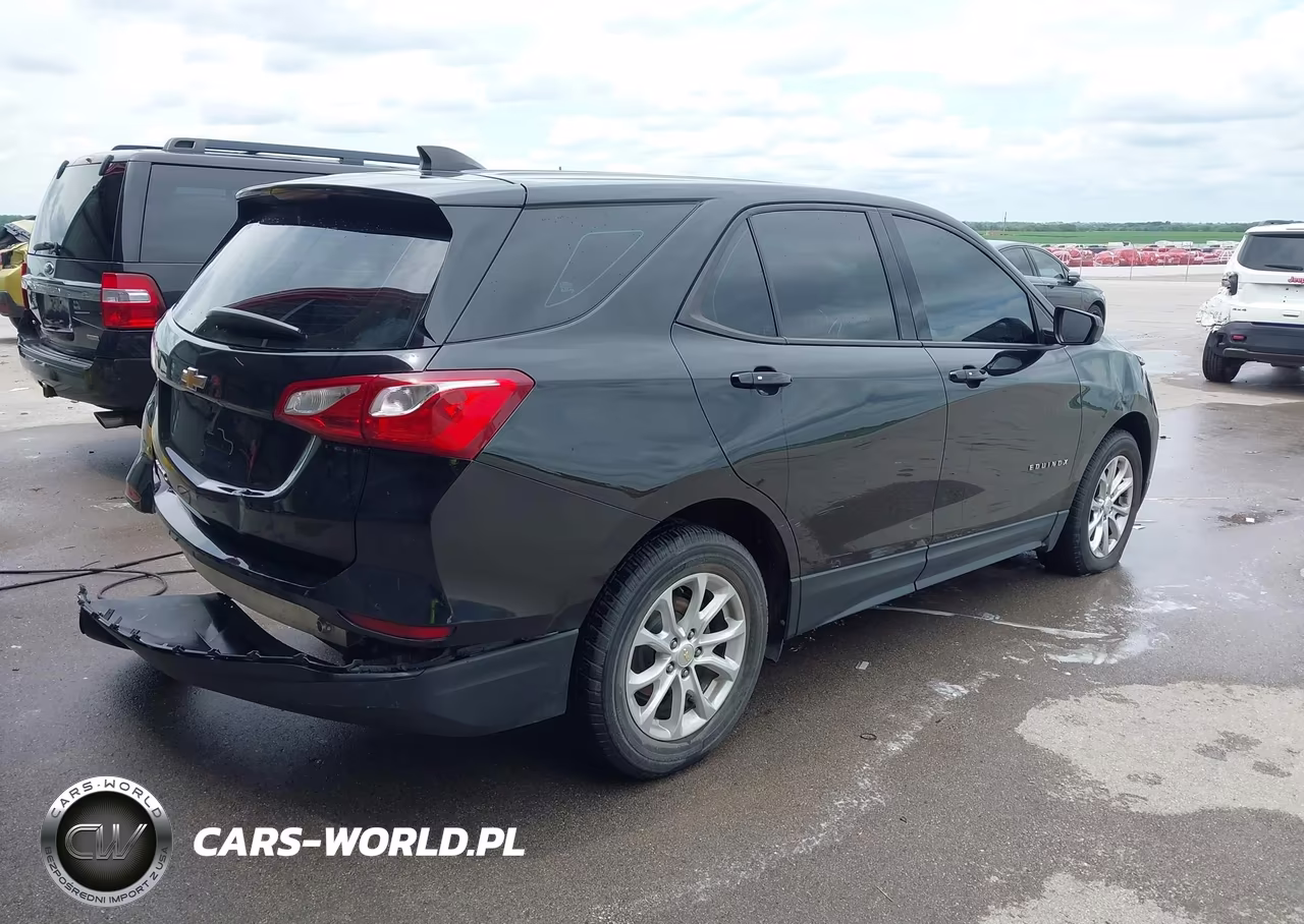2019 Chevrolet Equinox Ls VIN:2GNAXHEV3K6260252 - 4