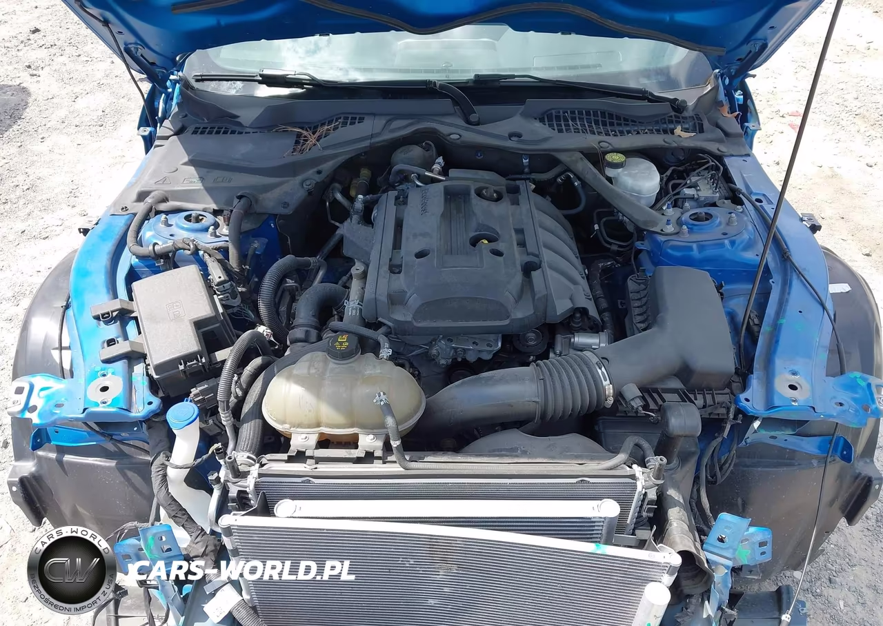 2020 Ford Mustang Ecoboost Premium VIN:1FATP8UH4L5145854 - 10