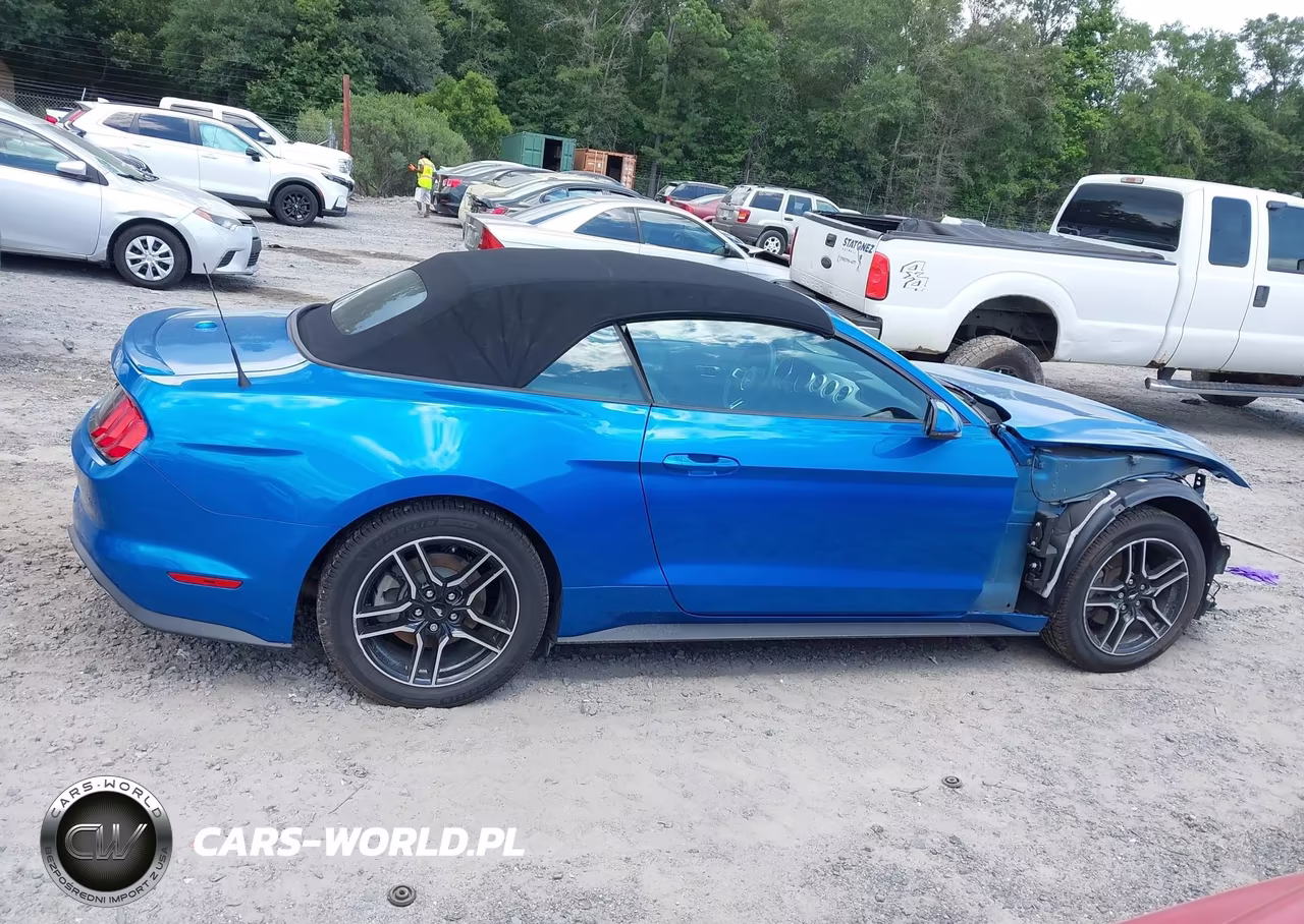 2020 Ford Mustang Ecoboost Premium VIN:1FATP8UH4L5145854 - 14