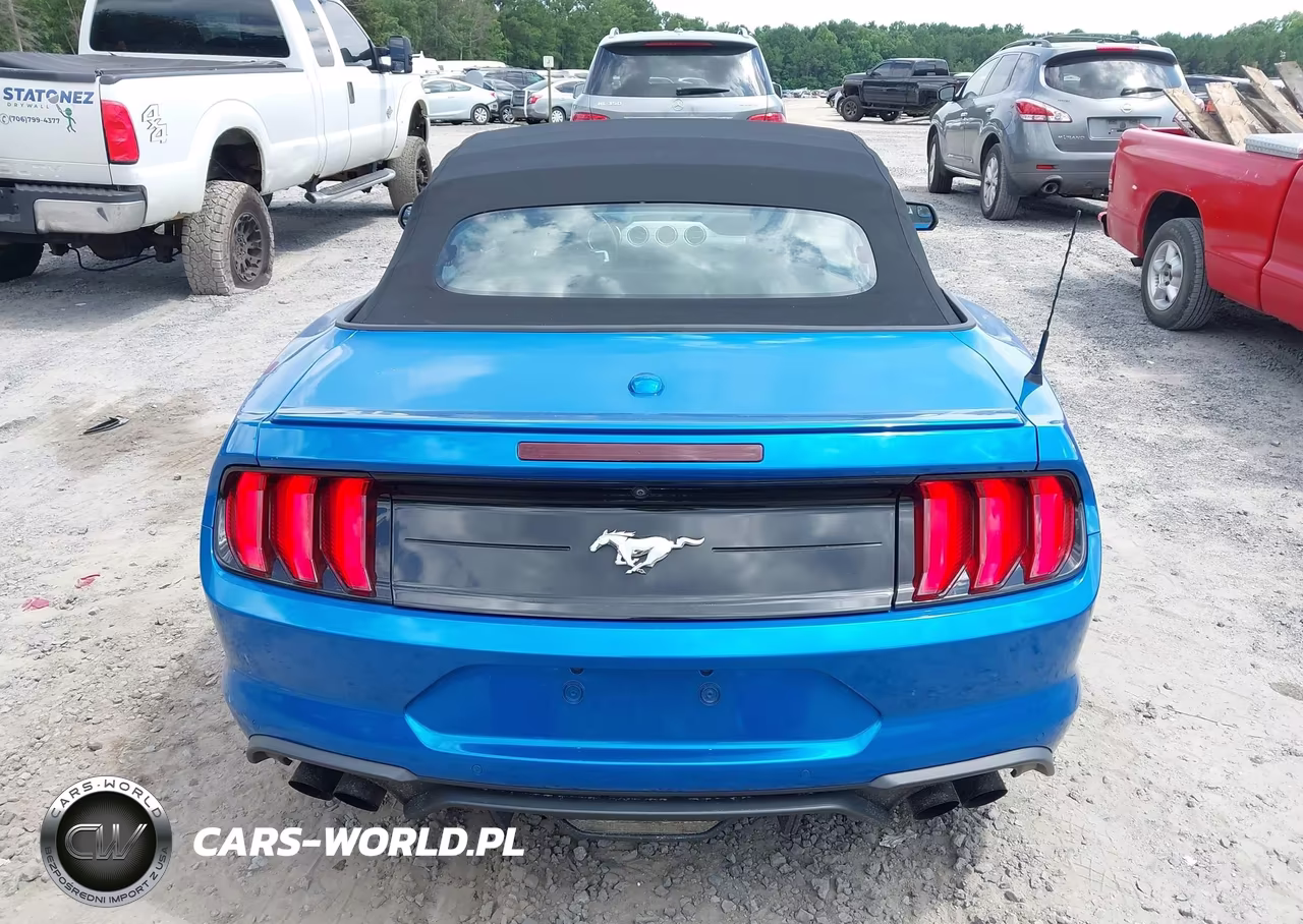 2020 Ford Mustang Ecoboost Premium VIN:1FATP8UH4L5145854 - 17