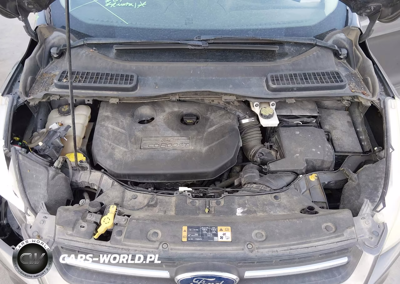 2014 Ford Escape Se VIN:1FMCU0G92EUA54921 - 10