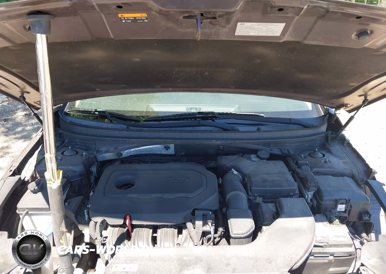2016 Hyundai Sonata Se VIN:5NPE24AF1GH356433 - 10