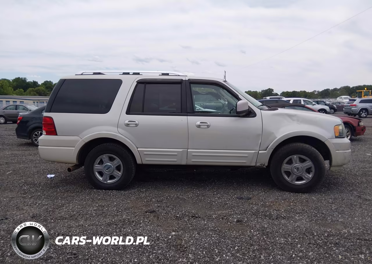 2006 Ford Expedition Limited VIN:1FMFU19566LA69409 - 13