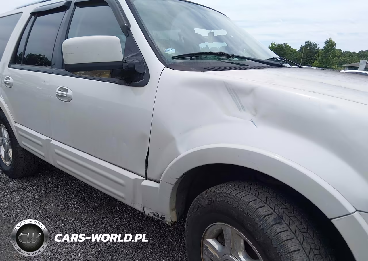 2006 Ford Expedition Limited VIN:1FMFU19566LA69409 - 6