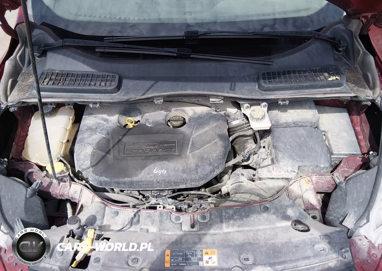 2013 Ford Escape Sel VIN:1FMCU9H94DUA10792 - 10