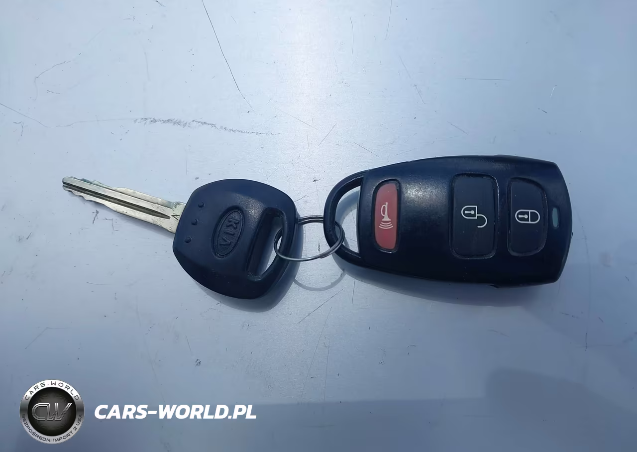 2009 Kia Sedona Lx VIN:KNDMB233296316068 - 11