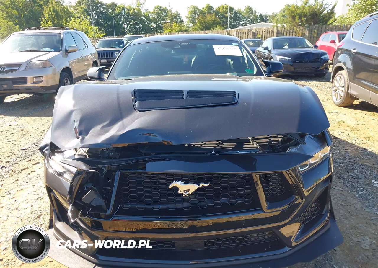 2024 Ford Mustang Gt Premium Fastback VIN:1FA6P8CFXR5418656 - 12