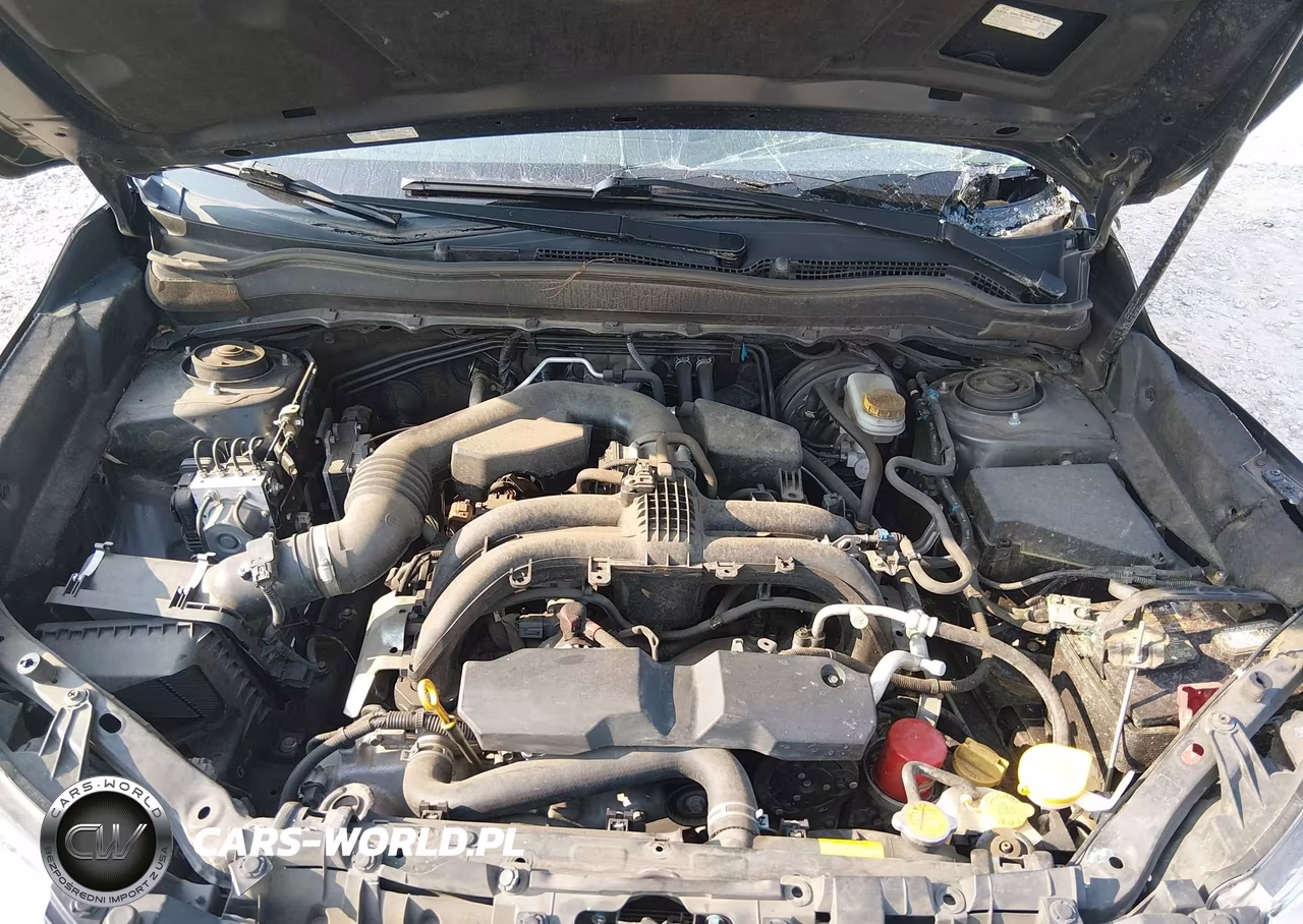 2017 Subaru Forester 2.5I Limited VIN:JF2SJAJC7HH572296 - 10