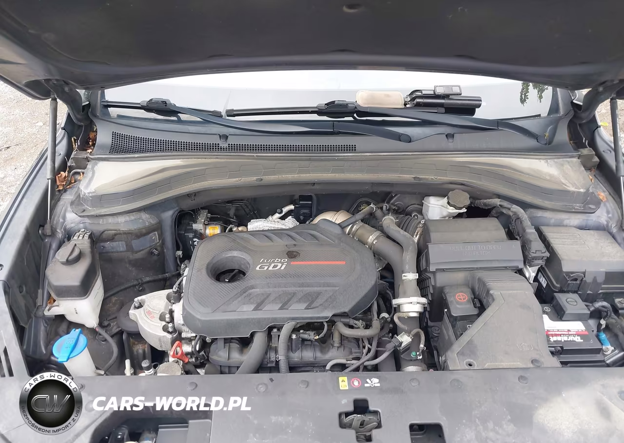 2019 Hyundai Santa Fe Limited 2.0T VIN:5NMS53AA2KH013905 - 10