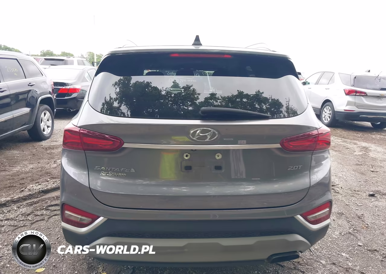 2019 Hyundai Santa Fe Limited 2.0T VIN:5NMS53AA2KH013905 - 16
