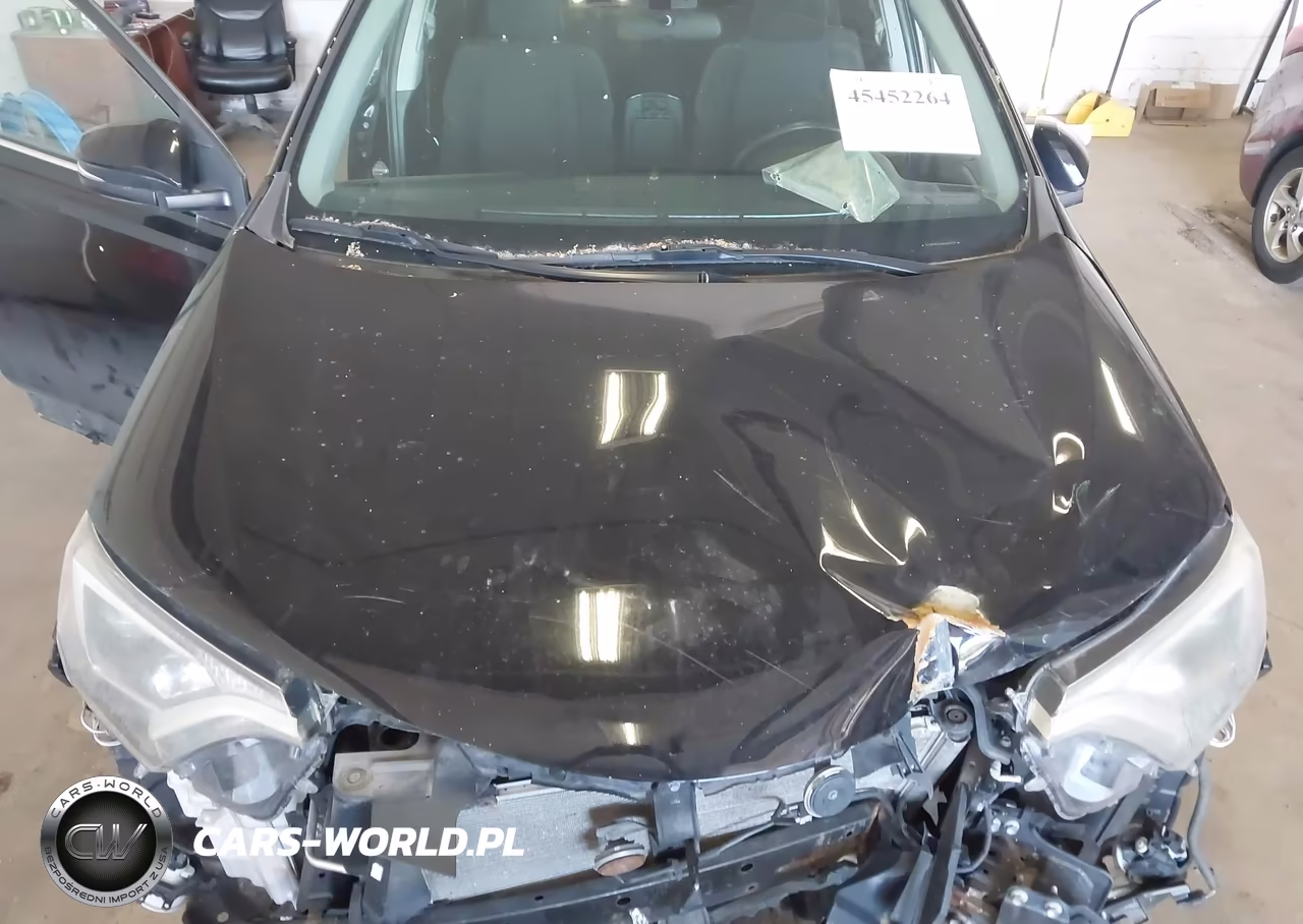2016 Toyota Rav4 Xle VIN:2T3RFREV6GW495339 - 10